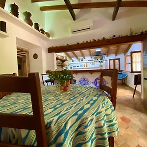  Appartement Puerto De Pollensa And Apartments, With Private Mountain Ideal For Runners, Trailers,near Approximately 5 Minutes Walking, Unique Experience In A Ullal Old Typical Mallorca House With Private Mountain And Near To The Beac Espagne